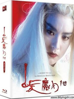 河与桥